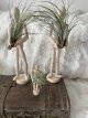 beweegbare mannequin met plant 13.5cm