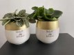 bloempot j-line groot met plant