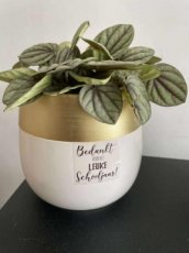 bloempot j-line groot met plant