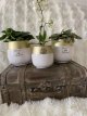 bloempot j-line klein met orchidee