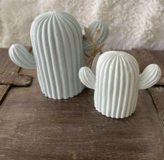cactusset jesmonite