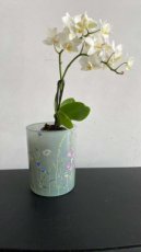 flower glazen pot met orchidee