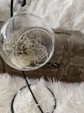 glazenbol met hanger en plantje