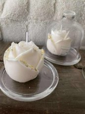 globe rooskaars met goud