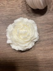 pioenbloem pioenbloem