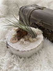 rond schijf met plantje