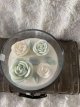 rosegarden 1