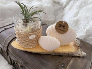 zeeplankje met kaarsen en plant