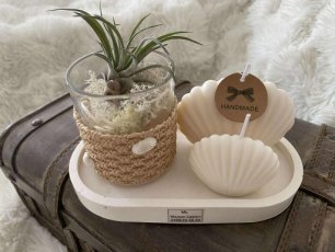 zeeschaal jesmo, kaars en plant